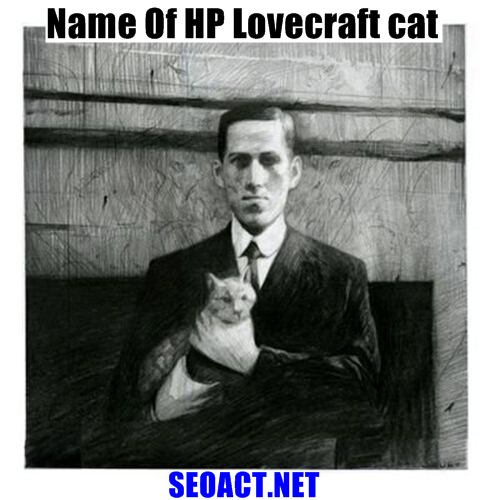 HP Lovecraft Cat