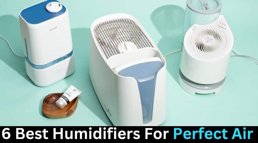 The 6 Best Humidifiers For Perfect Air